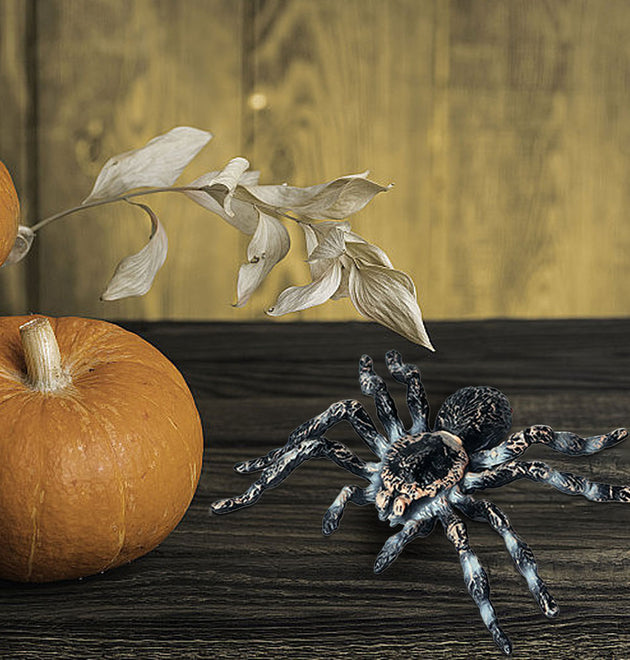 Simulated Spider Figurines Wild Animals Toys Model Surprise Action Figure Gift for Kids Realistic Tarantula Figures Home Decor